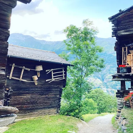 Alte Bock 2.0 Bed & Breakfast