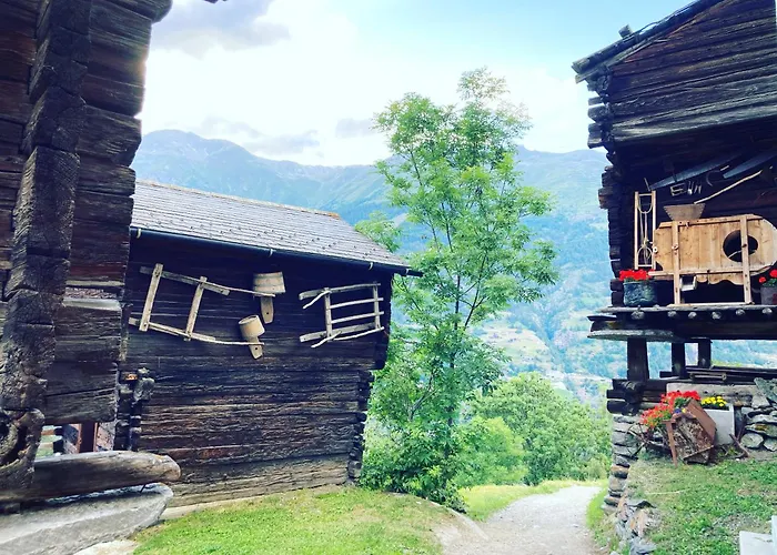 Alte Bock 2.0 Bed & Breakfast