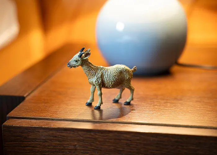 Alte Bock 2.0 Grächen