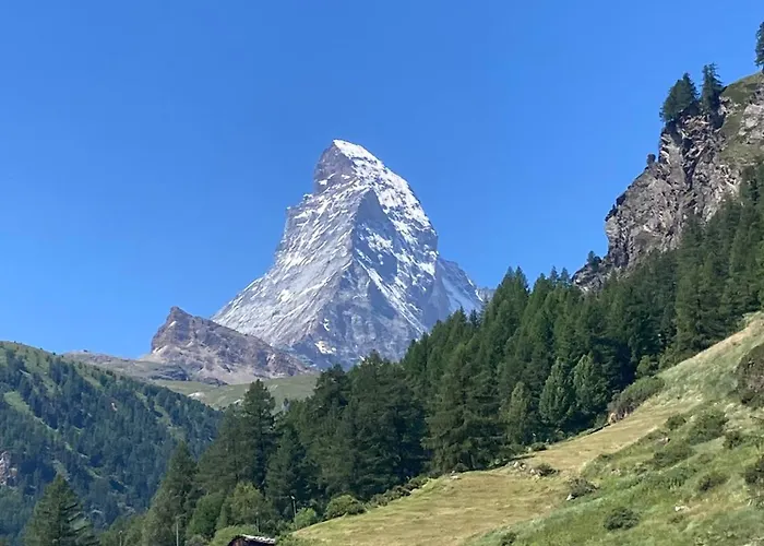 Frühstückspension Alte Bock 2.0